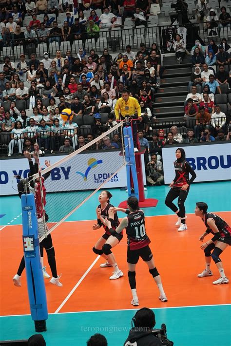 Fun Volleyball 2024