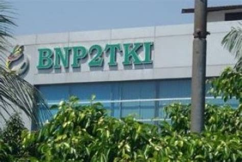 Functions of BNP2TKI BP2MI
