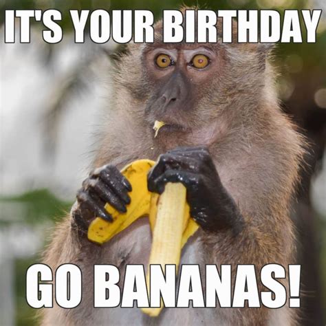 Funny Birthday