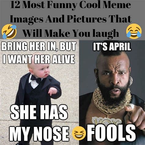 Meme Jokes