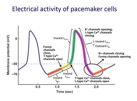 Pacemaker current