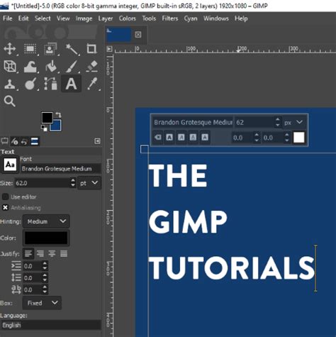 GIMP Text Tool Options Panel