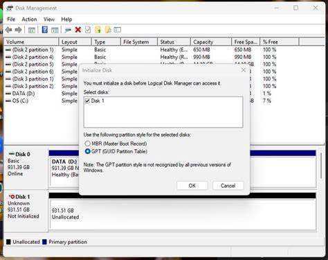 GPT partitioned disk in Disk Management