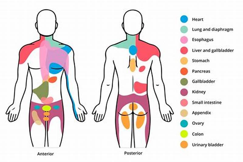 Gallbladder Referral Pattern
