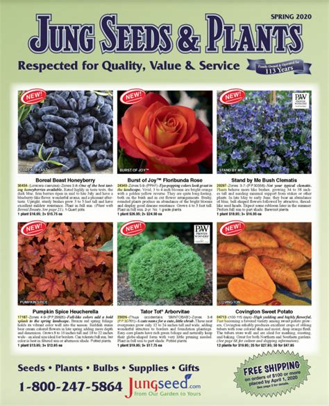 Garden Seed Catalogs