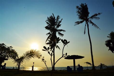 Garis Horizon