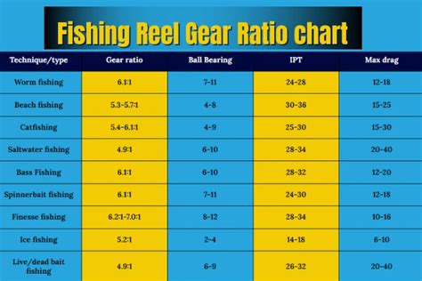Gear Ratio Explained Fishing Reel