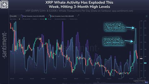 Geger Whale Futures XRP