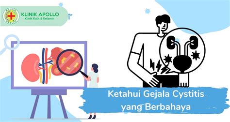 Gejala Cystitis