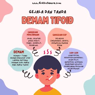 Gejala Demam Paratifoid