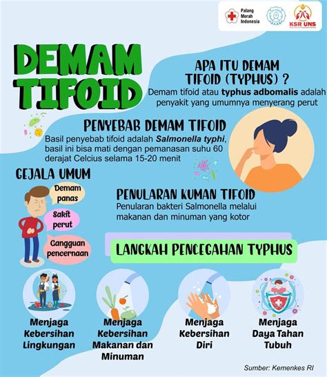 Gejala Demam Tifoid