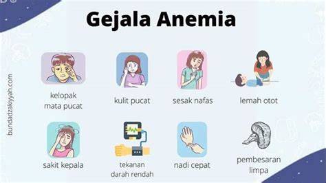 Gejala umum anemia