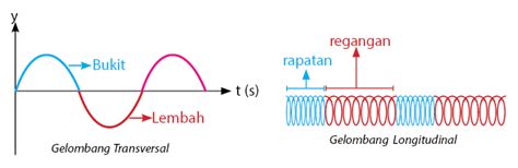 Gelombang Transversal dan Longitudinal