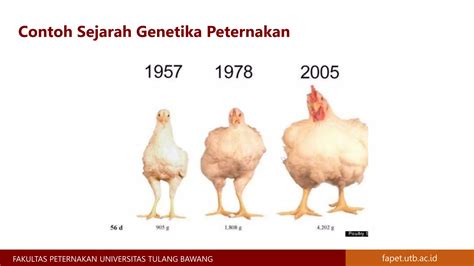 Genetik Hewan