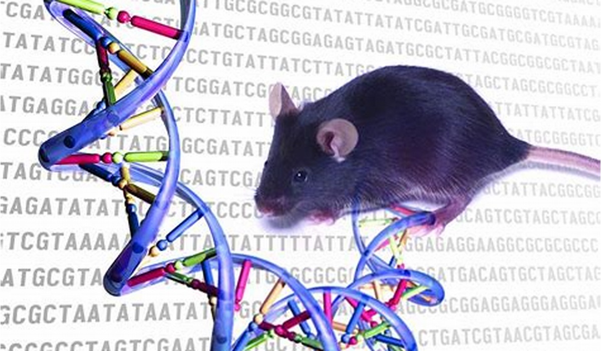 Genome Sequencing in Mice