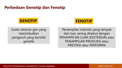 Genotip dan Fenotip