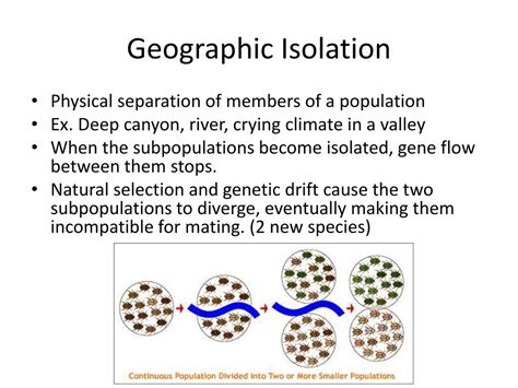 Geographic isolation concept