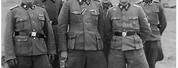German Waffen SS Officer