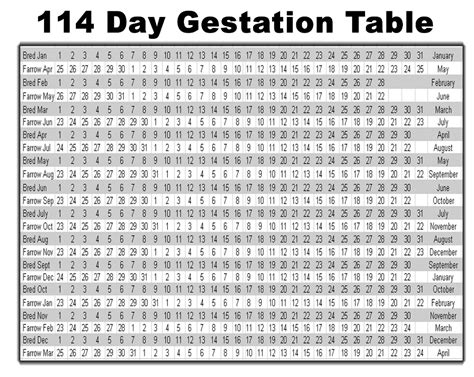 Gestation Chart For Pigs