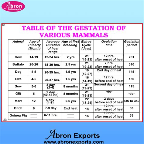Gestation Of Animals Chart