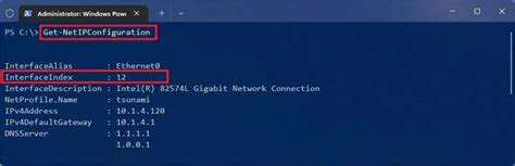 Get-NetIPConfiguration Output
