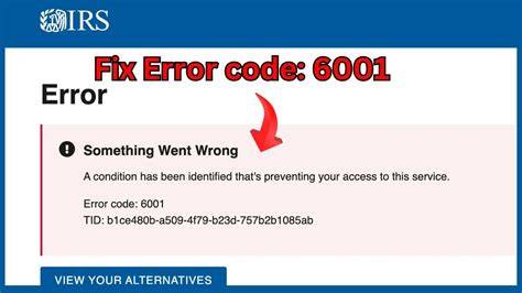 Understanding IRS Error Code 6001