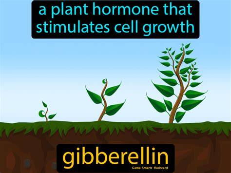 Giberelin ZPT