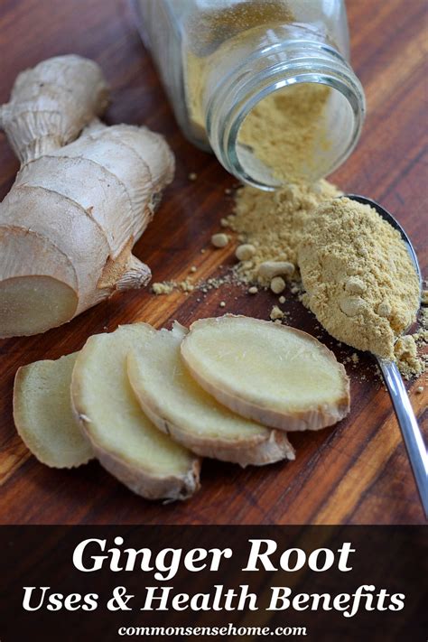 Ginger