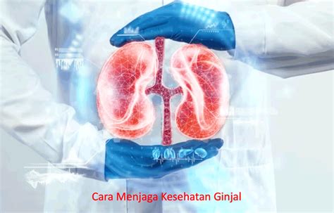 Ginjal Sehat