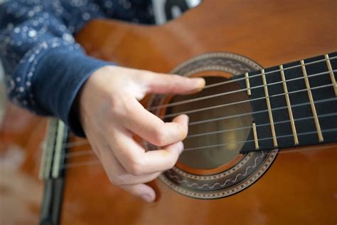 Gitar Chordophone