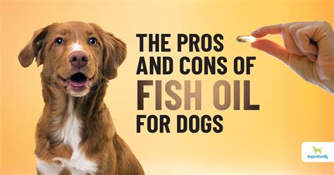 Giving Fish Oil to Dog