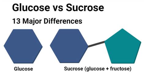Glucose vs Sucrose
