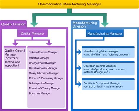 Gmp Organization Chart