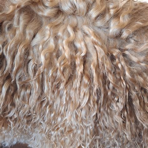 Goat hair