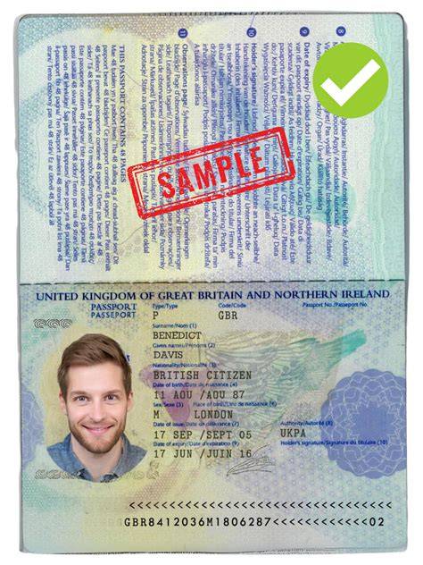 Contoh Hasil Scan Surat Pernyataan CPNS yang Baik