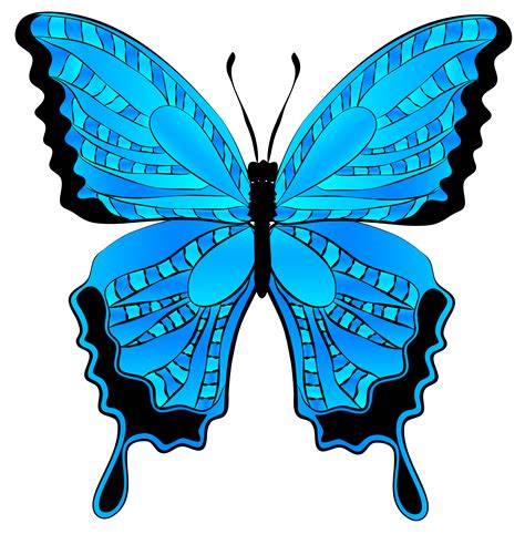 Google Butterfly