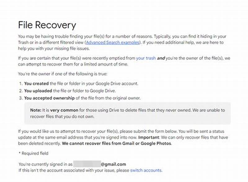 Google Drive File Recovery Form