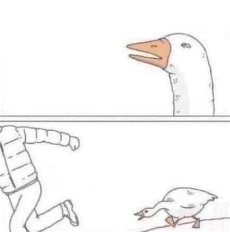 Goose Meme Template