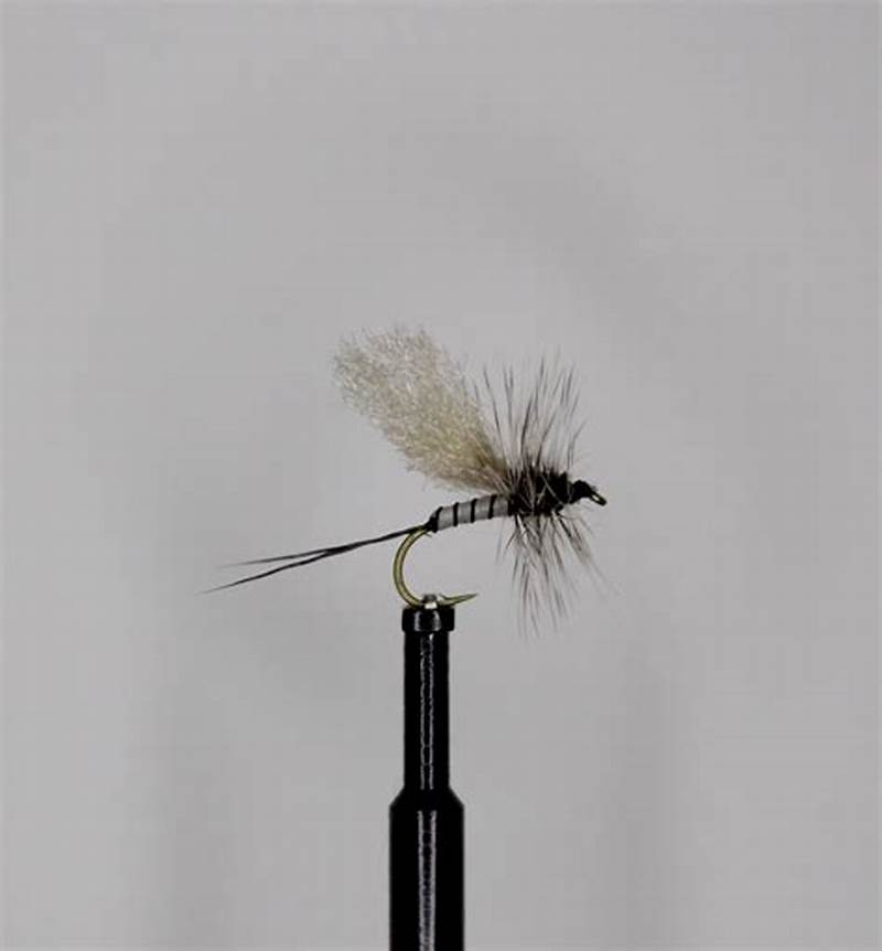 Gray Drake Fly Pattern