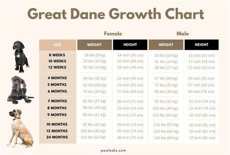 Great Dane Growth Chart Female