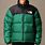 Green North Face Jacket