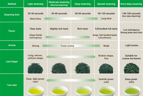 Proses Pembuatan Green Tea