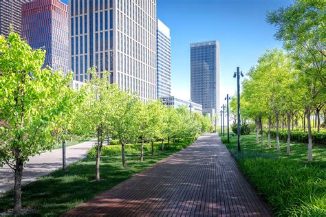 Green city trees