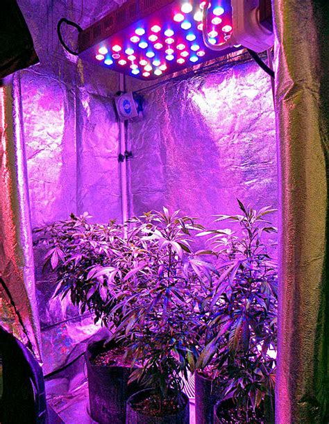 Grow room Lighting