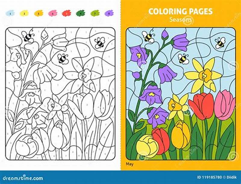 Guide To Coloring