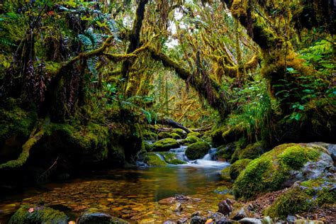 Gunung Leuser