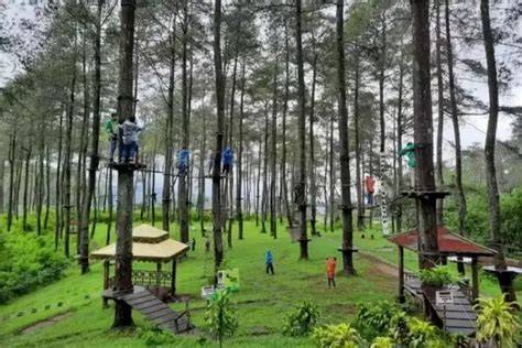 Gunung Pancar Bogor