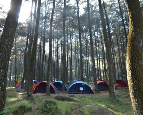 Camping Gunung Pancar Sentul