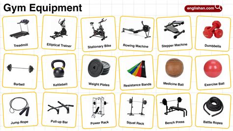 Gym equipment