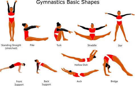 Gymnastic basic definition